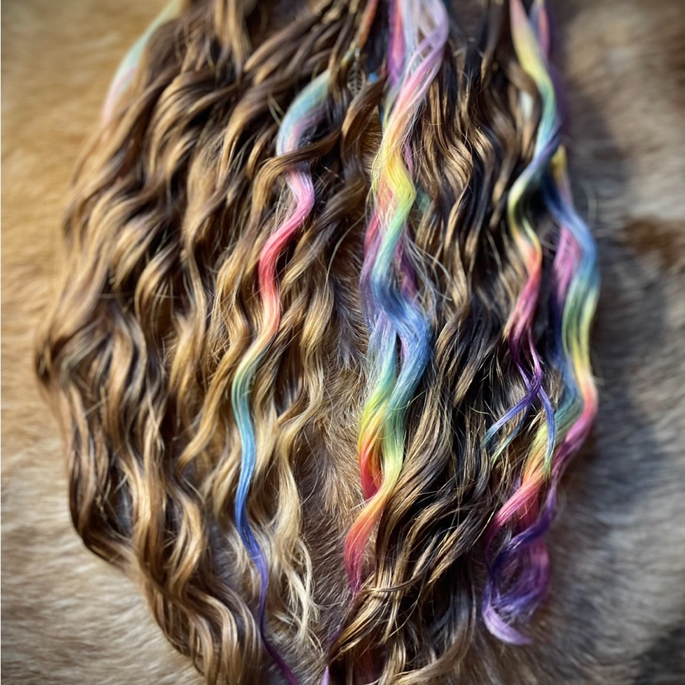 Synthetic Dread Extensions• Brown & rainbow Anna waves with braided middle - Picture 3 of 9